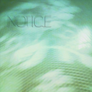 Notice (feat. Pandar)