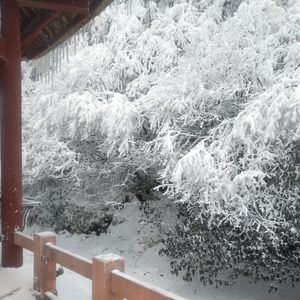 落到一半的雪（piano）