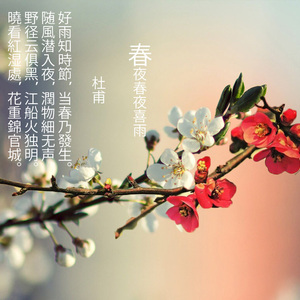 佳人如梦令（Cover HITA）