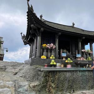 TAM (MIND) (Special Version)