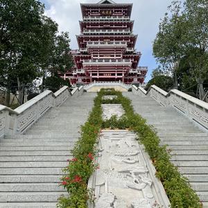 你不是真正的快乐_新裤子13083_3170451