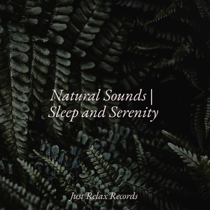 Luminous Tide Retreat