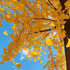 人间太苦下辈子不来了