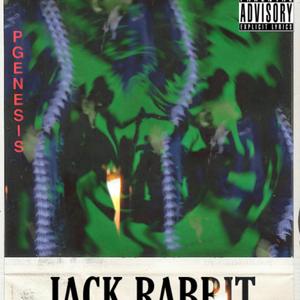 JACK RABBIT