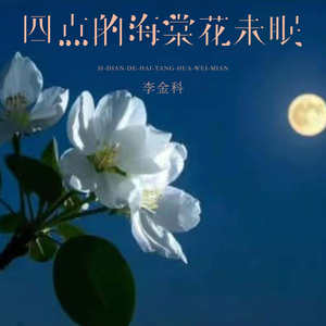 四点的海棠花未眠