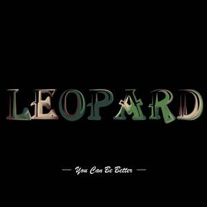 追光者-不再去那片海滩（Leopard remix）