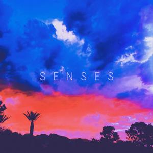 Senses