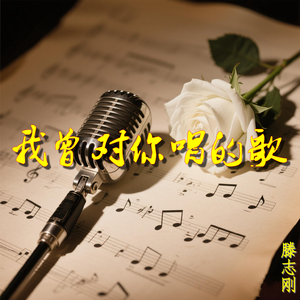 我曾对你唱的歌