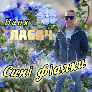 Сині фіалки