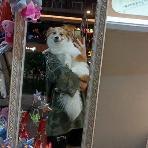 它们给予我的救赎