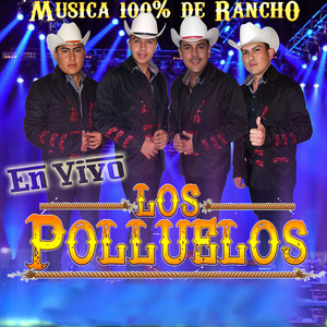 Crimen de Culiacan (En Vivo)