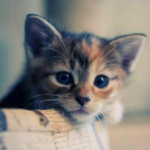 关于郑州的记忆demo