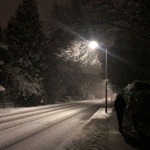 LONELY FEEL (Slowed)