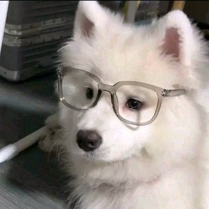 突破困境迎光明