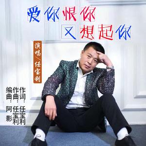 爱你恨你又想起你 伴奏