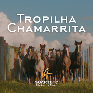 Tropilha Chamarrita