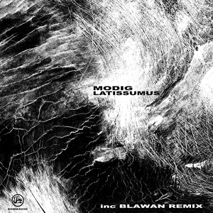 Latissimus (Blawan Remix)