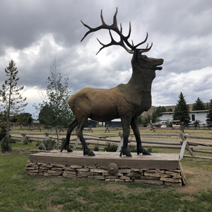 The Allis Chalmer Tractor Company