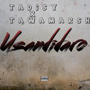 Usandidaro (feat. TawaMarsh)