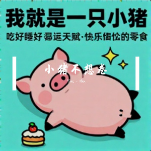 小猪不想卷