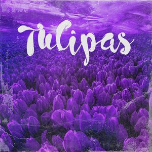 Tulipas