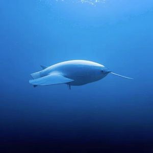 暮色沉溺时 伴奏