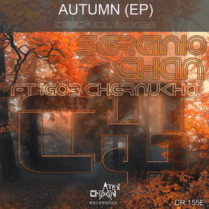 Birds Fly Away (Original Mix)