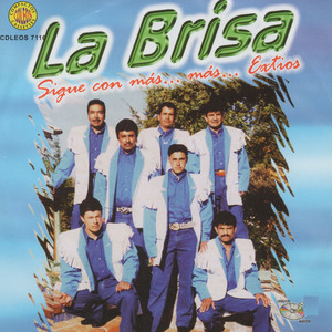 Te Estoy Queriendo