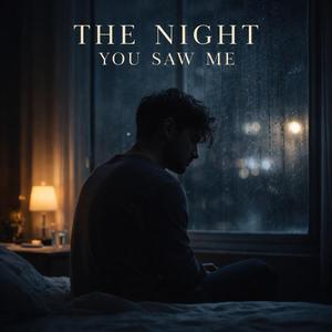 THE NIGHT YOU SAW ME