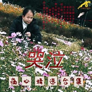 一千个忘记的理由