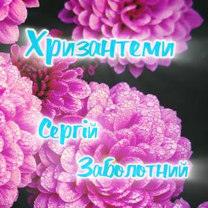 Хризантеми