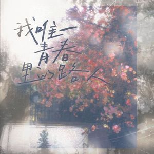 我唯一青春里的路人