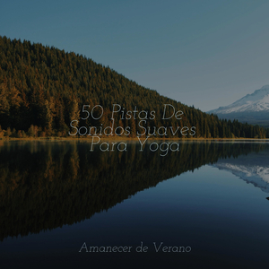 Ecos Nostálgicos en Quietud