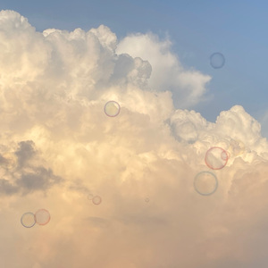 温热蝙蝠日记（cover）