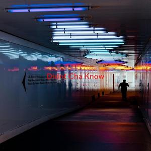 Didn't Cha Know (Instrumental version originally performed by Erykah Badu)