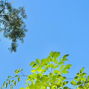 永远的爱(原创DEMO)