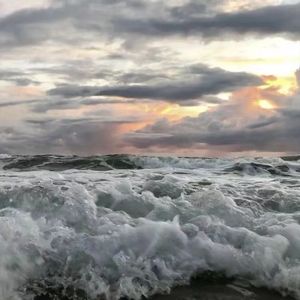 Euphoria（cover：甜酒果）