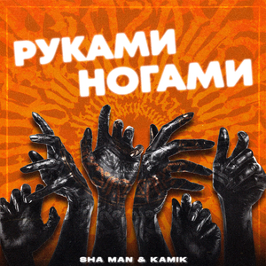 РукамиНогами
