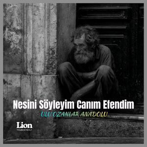 Nesini Söyleyim