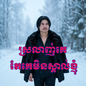 ស្រលាញ់គេ តែគេមិនស្គាល់ខ្ញុំ