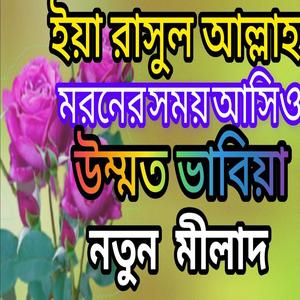 ইয়া রাসুল আল্লাহ মরনের সময় আসিও উম্মত ভাবিয়া #মিলাদ_শরিফ #milad #miladunnabi