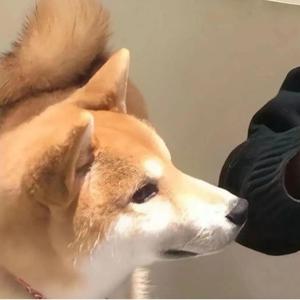 侧脸DEMO