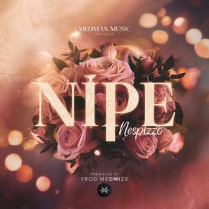 NIPE