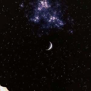 归 于 人 海（粤语版）