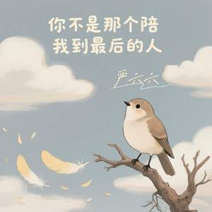 你不是那个陪我到最后的人