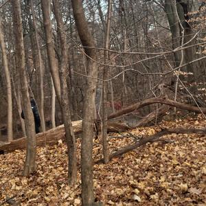 The Beginning Of The End