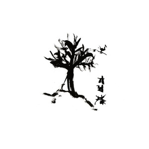 Your Bird Listens to My CD