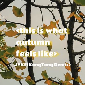 JVKE-this is what autumn feels like（KT remix）