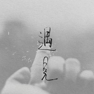 动物世界（Cover 薛之谦）