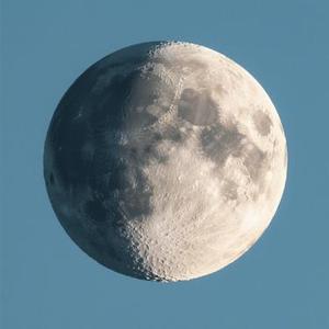 月亮的脸在偷偷改变 (Cover 阿鸿仔)